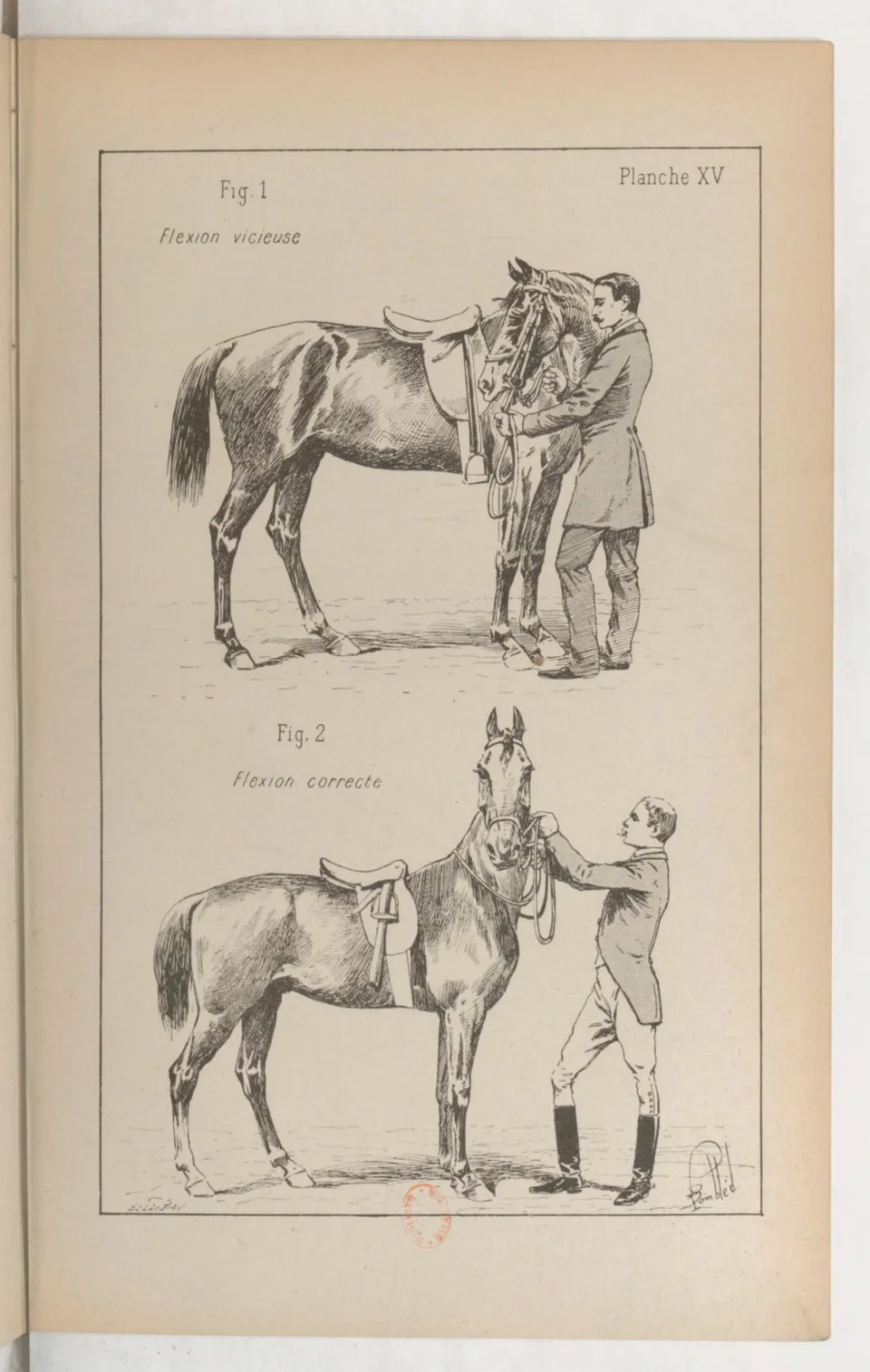 Principes de dressage et d'équitation (1892), скан 177 из 530