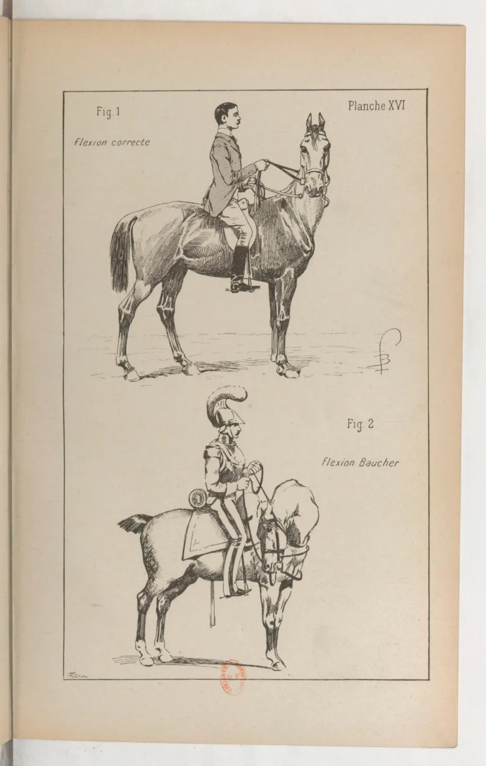 Principes de dressage et d'équitation (1892), скан 181 из 530