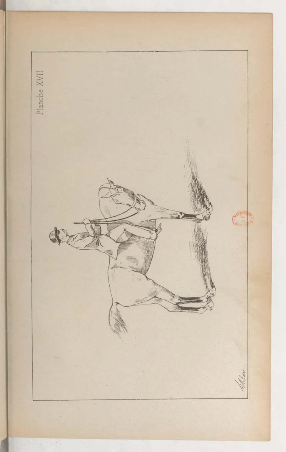 Principes de dressage et d'équitation (1892), скан 185 из 530