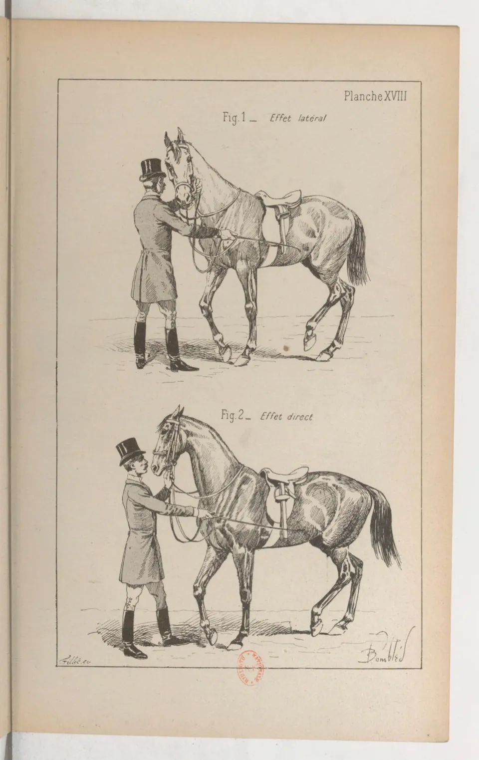 Principes de dressage et d'équitation (1892), скан 191 из 530