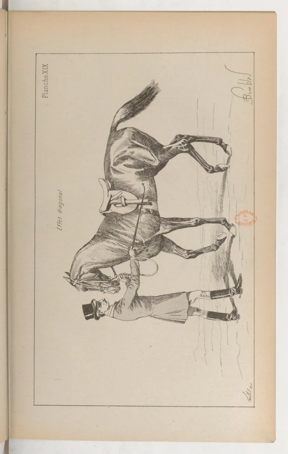 Principes de dressage et d'équitation (1892), скан 195 из 530