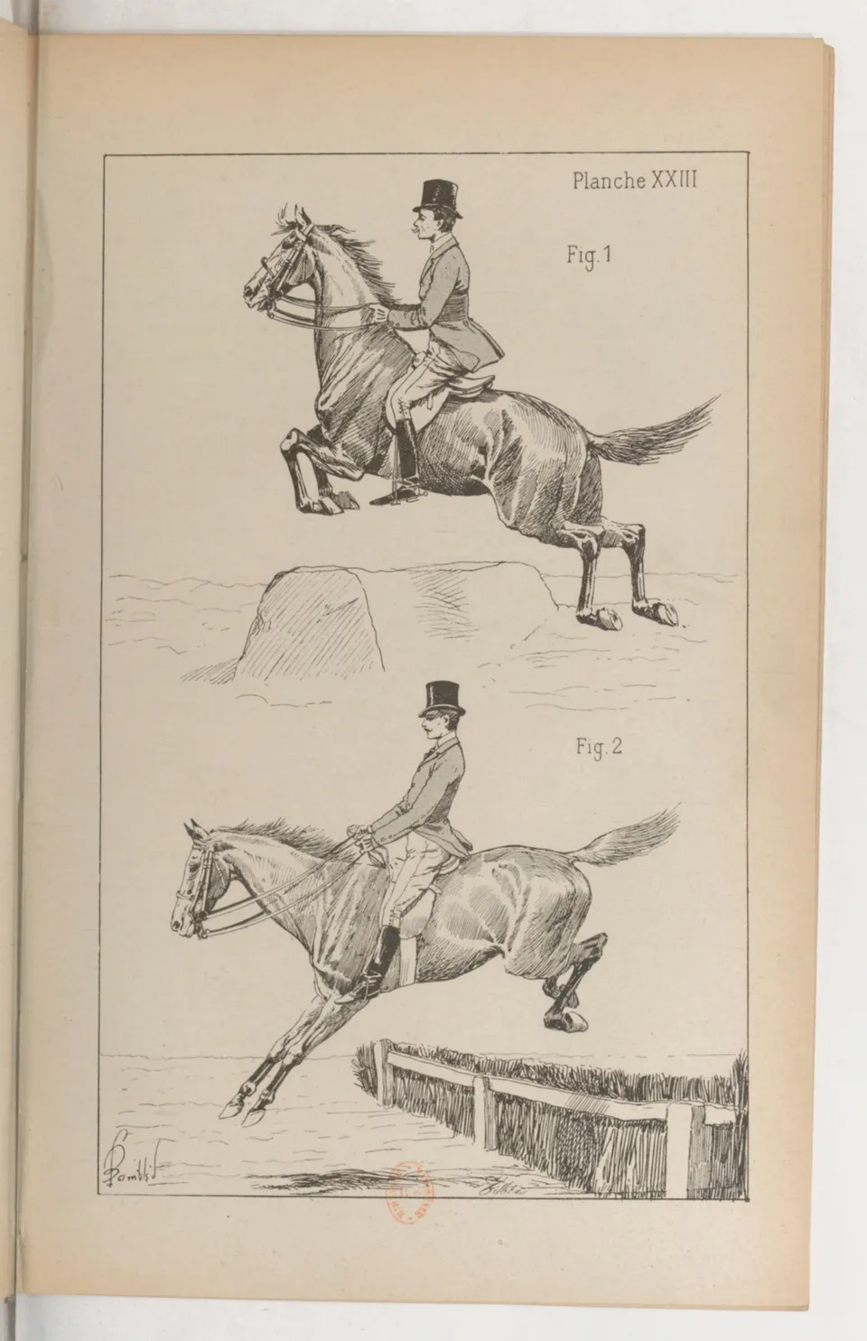 Principes de dressage et d'équitation (1892), скан 321 из 530