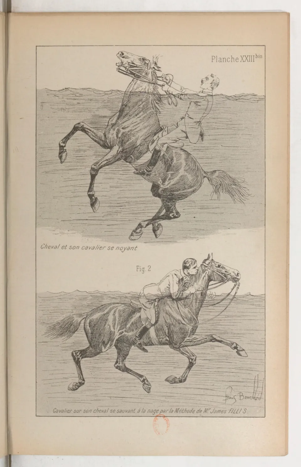 Principes de dressage et d'équitation (1892), скан 363 из 530