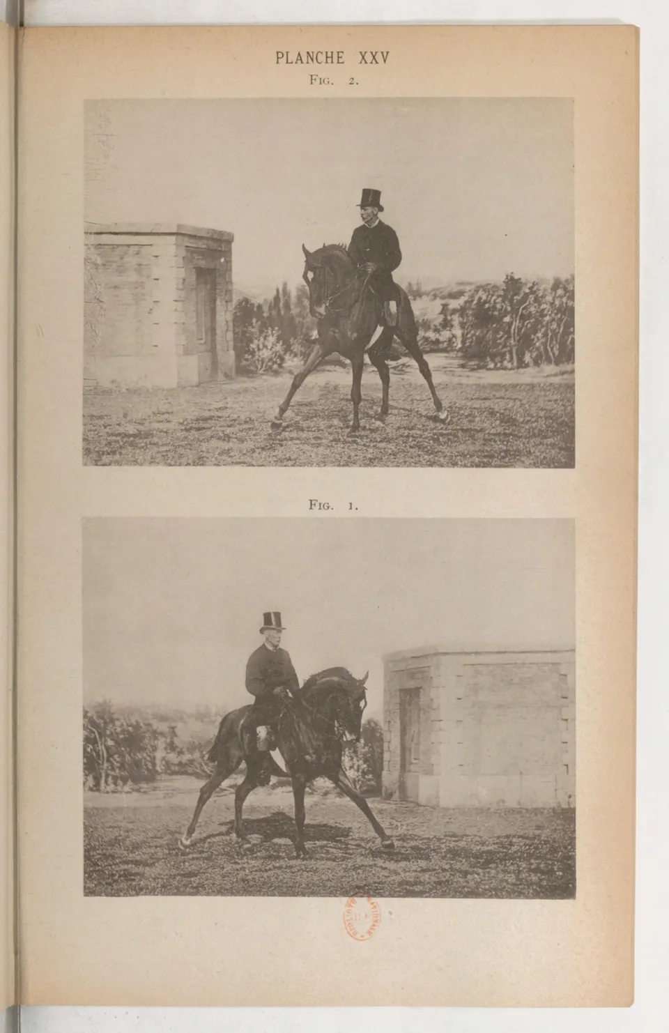 Principes de dressage et d'équitation (1892), скан 405 из 530