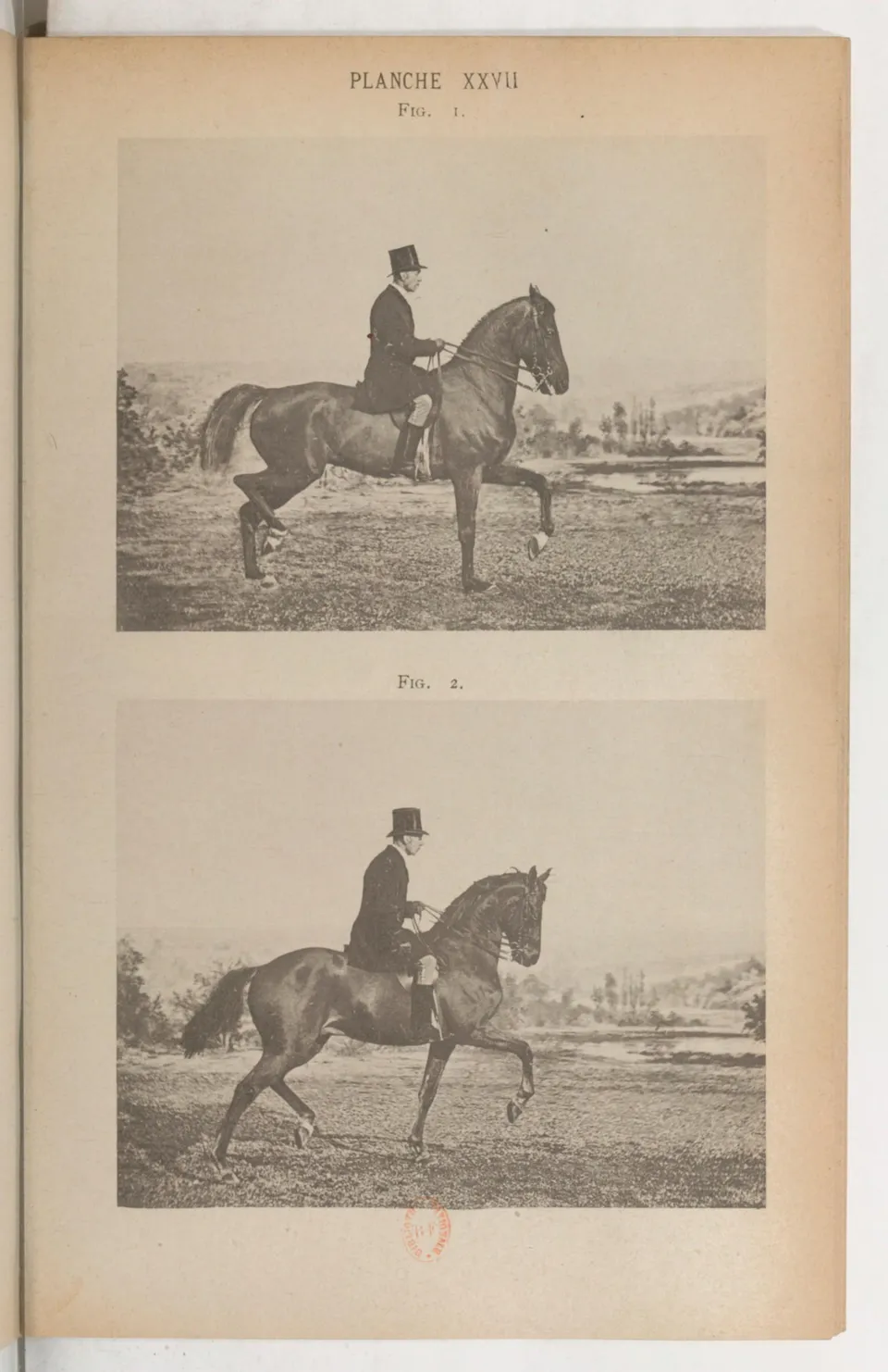 Principes de dressage et d'équitation (1892), скан 423 из 530