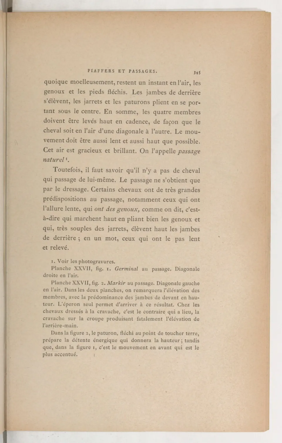 Principes de dressage et d'équitation (1892), скан 425 из 530