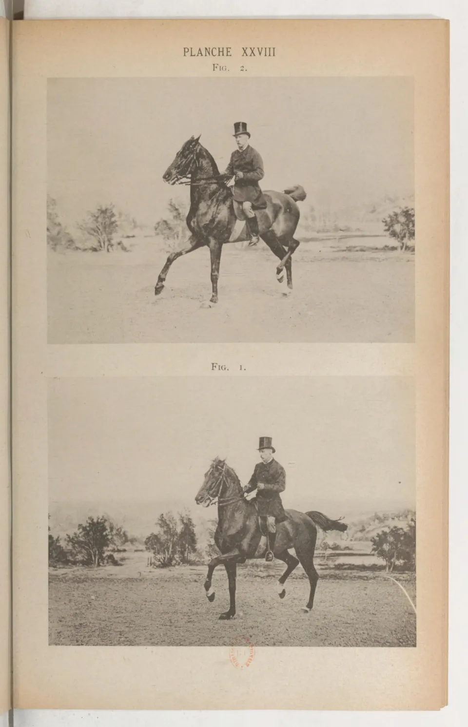 Principes de dressage et d'équitation (1892), скан 429 из 530