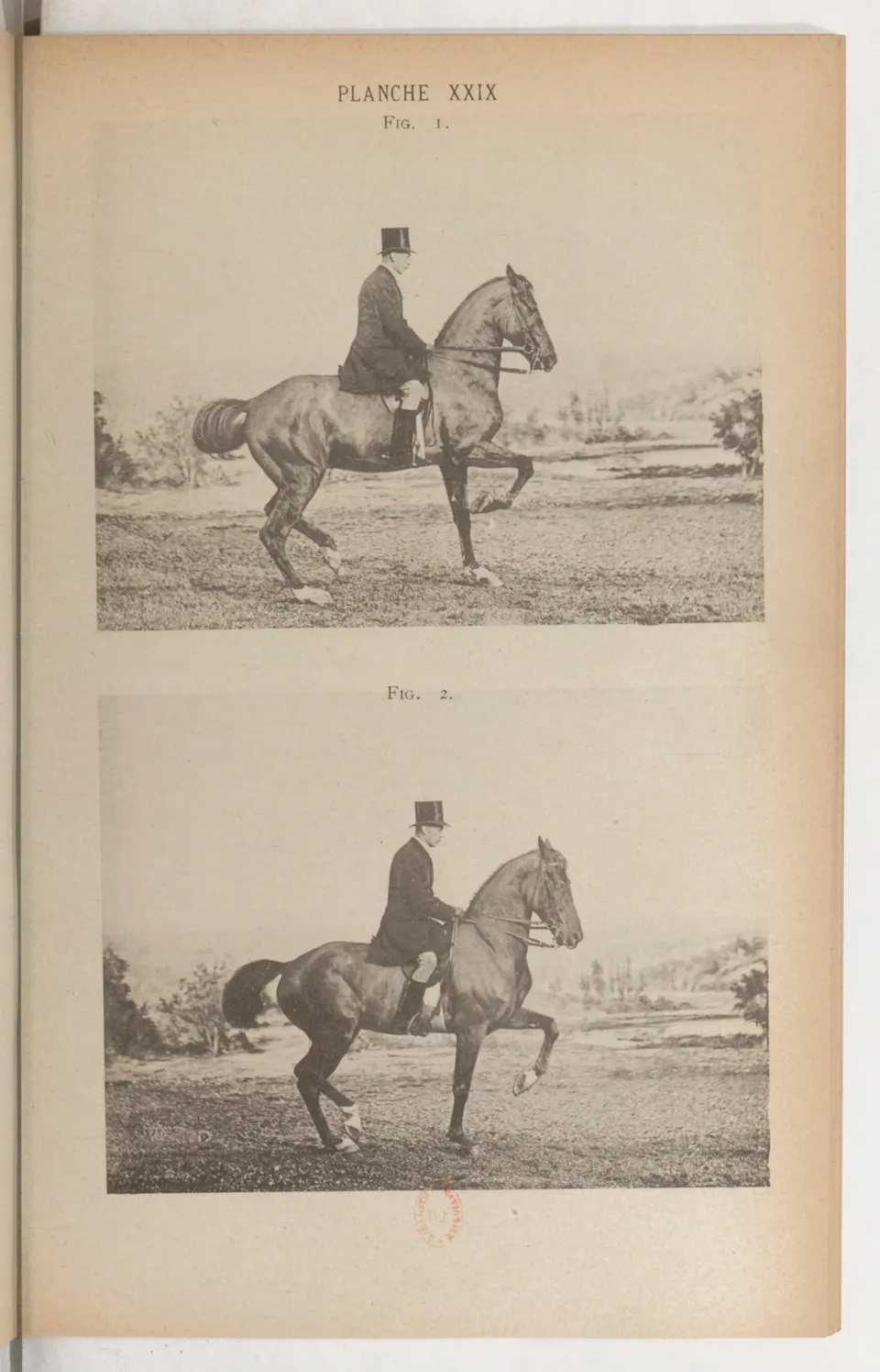 Principes de dressage et d'équitation (1892), скан 433 из 530