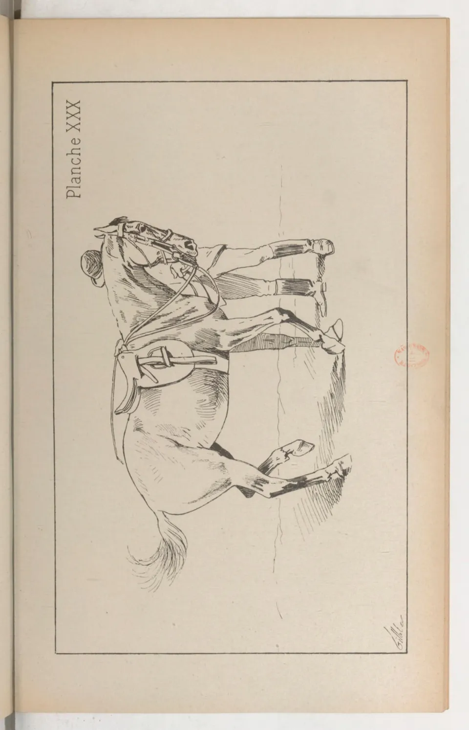 Principes de dressage et d'équitation (1892), скан 445 из 530