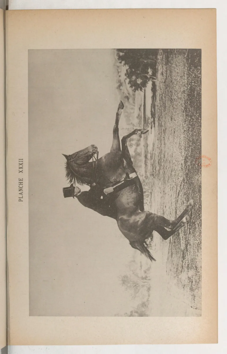 Principes de dressage et d'équitation (1892), скан 459 из 530