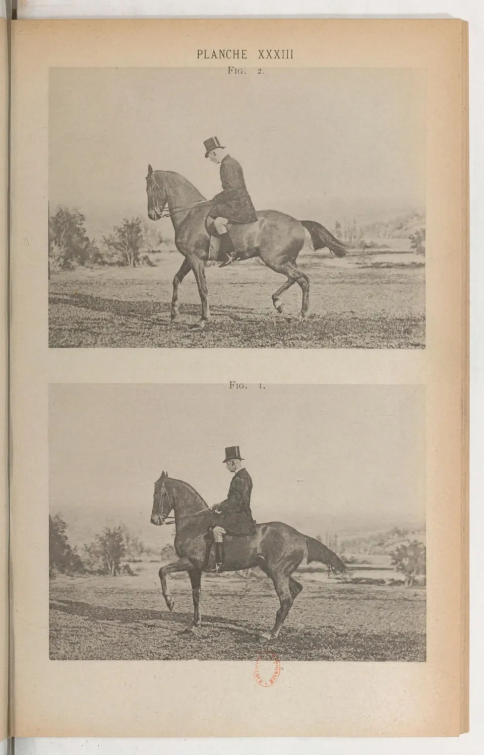 Principes de dressage et d'équitation (1892), скан 463 из 530