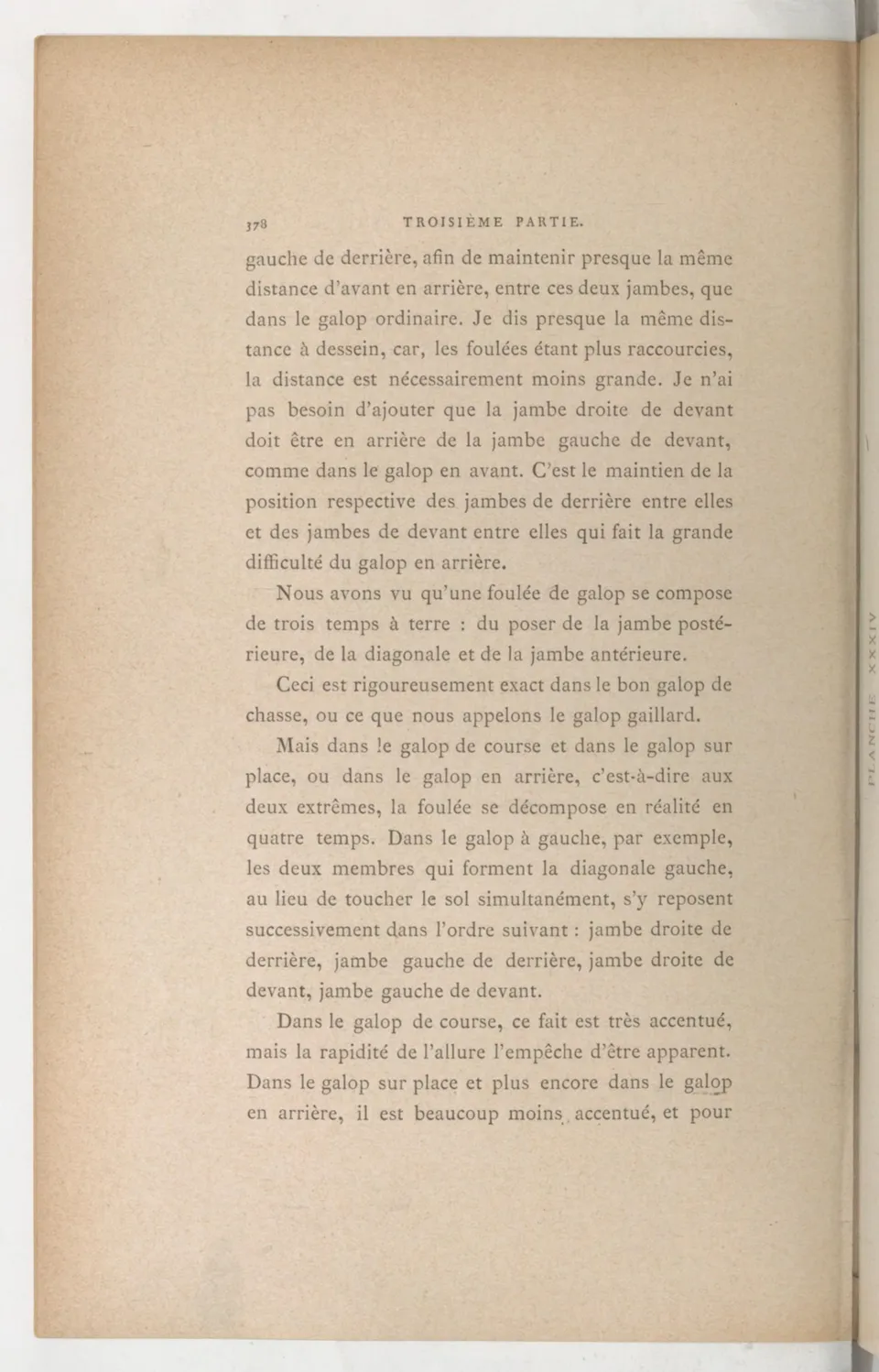 Principes de dressage et d'équitation (1892), скан 470 из 530