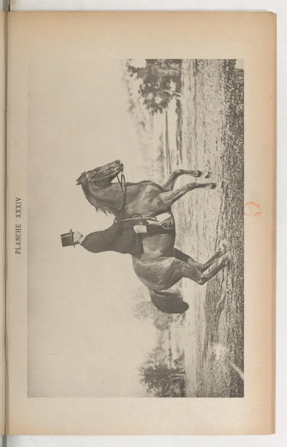 Principes de dressage et d'équitation (1892), скан 471 из 530