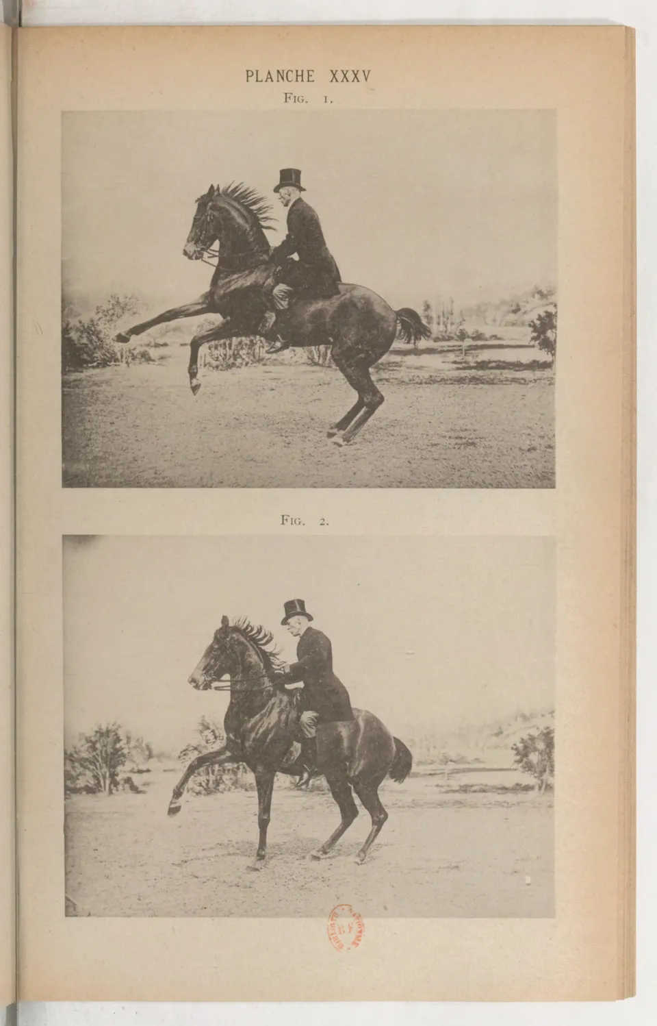 Principes de dressage et d'équitation (1892), скан 477 из 530