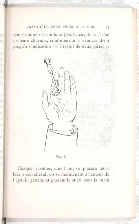 Fig. 8.