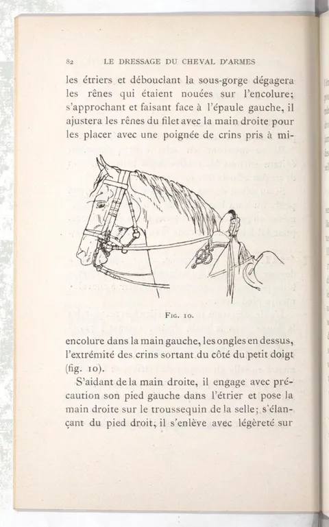Fig. 10.