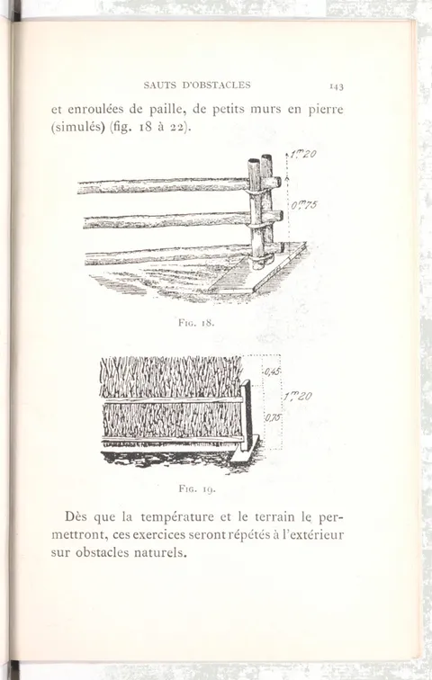 FIG. 18. FIG. 19.
