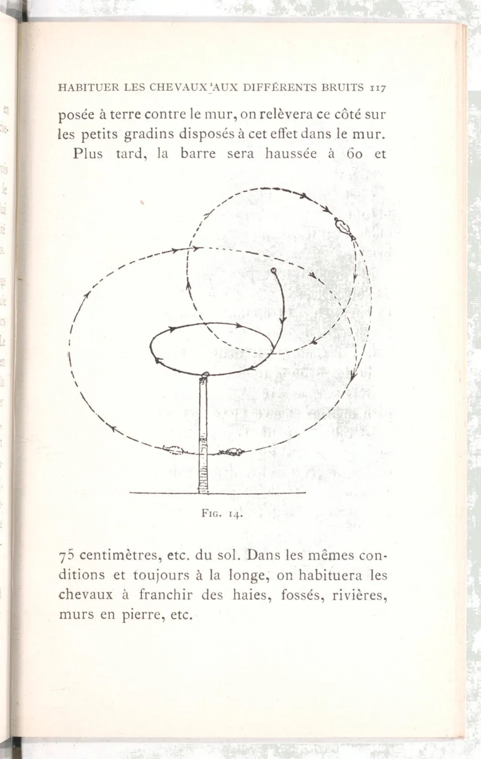 Règlement pour le dressage du cheval d'armes : établi en 1908 par la Commission de l'Ecole d'application de cavalerie des officiers à Saint-Pétersbourg, скан 132 из 175
