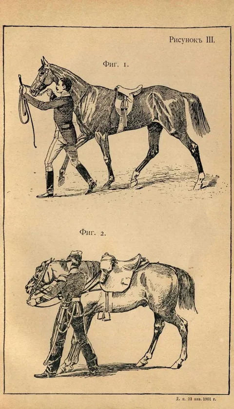 Рисунокъ III.
