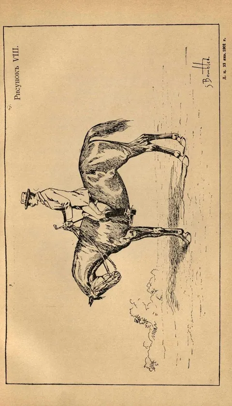 Рисунок VIII