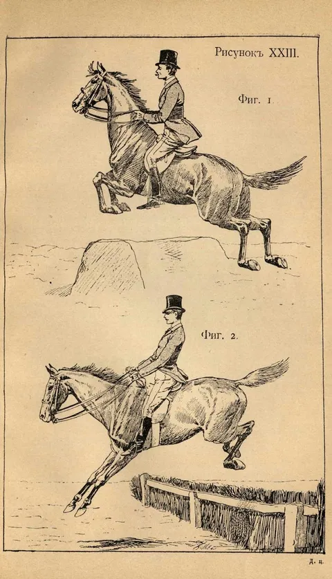 Рисунокъ XXIII. Фиг. 1. Фиг. 2.