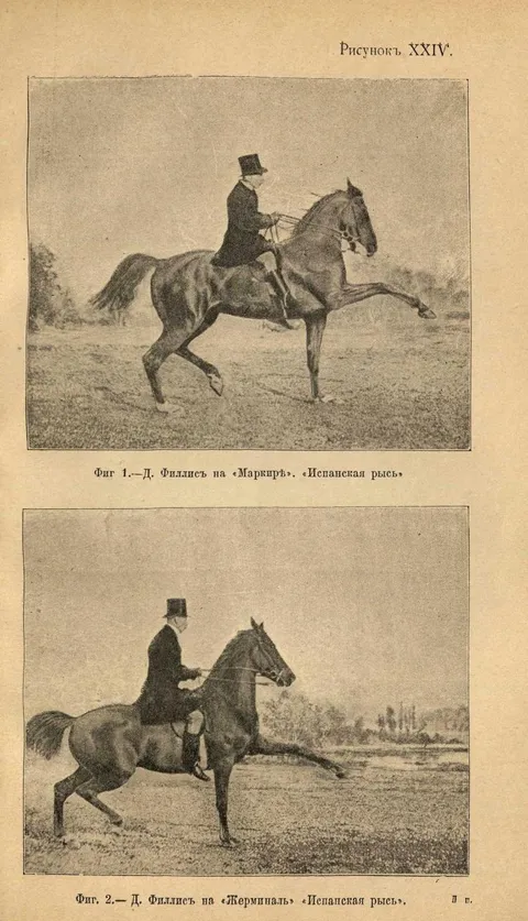 Рисунокъ XXIV Фиг 1.—Д. Филлисъ на «Маркирѣ». «Испанская рысь» Фиг. 2.— Д. Филлисъ на «Жерминаль» «Испанская рысь».