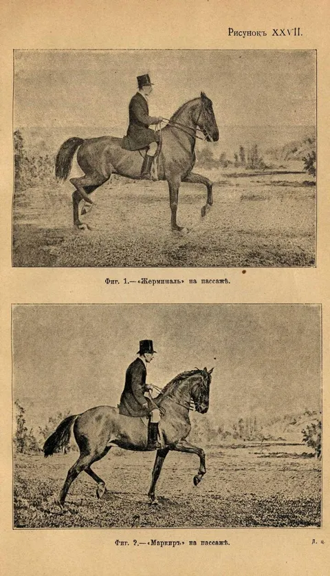 Рисунокъ XXVII. Фиг. 1.—«Жерминаль» на пассажѣ. Фиг. 2.—«Маркиръ» на пассажѣ.