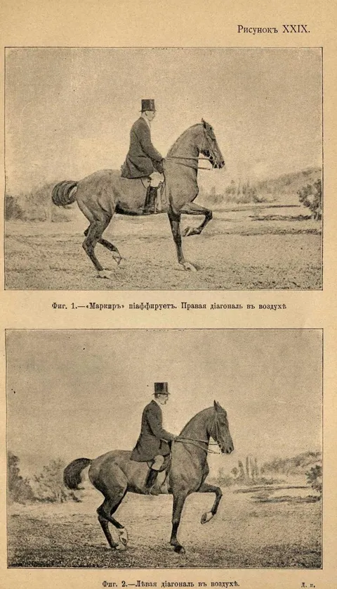 Рисунокъ XXIX. Фиг. 1.—«Маркиръ» піаффируетъ. Правая діагональ въ воздухѣ Фиг. 2.—Лѣвая діагональ въ воздухѣ.