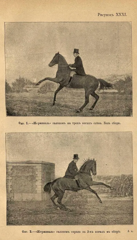 Рисунок XXXI Фиг. 1. — «Жерминаль» галопом на трёх ногах слева. Без сбора. Фиг. 2. — «Жерминаль» галопом справа на 3 ногах в сборе.