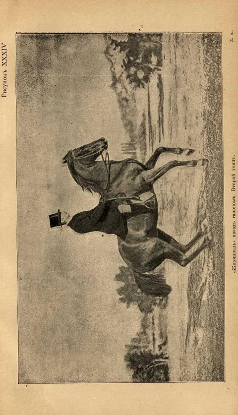 Рисунок XXXIV