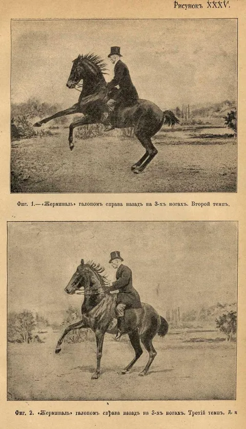 Рисунокъ XXXV. Фиг. 1.—«Жерминаль» галопомъ справа назадъ на 3-хъ ногахъ. Второй темпъ. Фиг. 2. «Жерминаль» галопомъ справа назадъ на 3-хъ ногахъ. Третій темпъ.